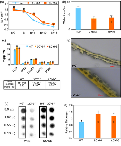 Details are in the caption following the image Details are in the caption following the image