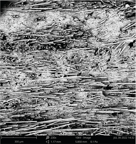 Details are in the caption following the image