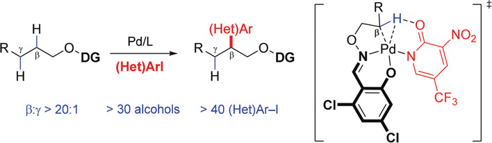 Ligand-Enabled β-Methylene C(sp3)−H Arylation of Masked Aliphatic Alcohols