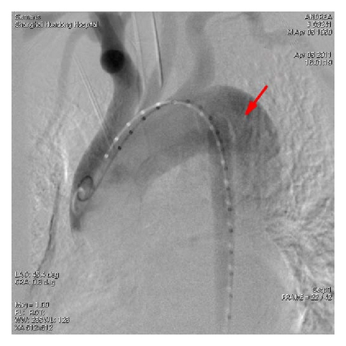 Details are in the caption following the image Details are in the caption following the image