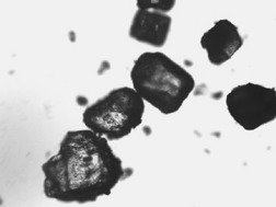 Drying of Pentaerythritol obtained from Batch Crystallization