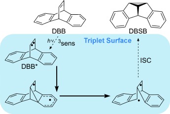 Competition Between Concerted and Stepwise Dynamics in the Triplet Di-π-Methane Rearrangement