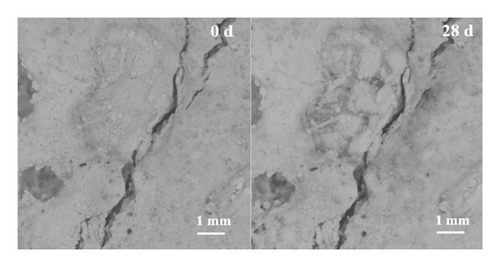 Details are in the caption following the image