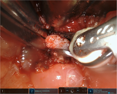 Details are in the caption following the image Details are in the caption following the image