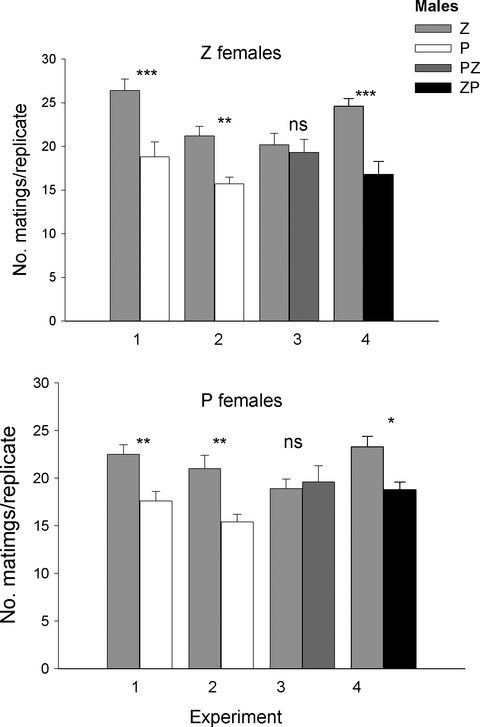 Larval host plant influences male body size and mating success in a tephritid fruit fly