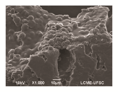 Details are in the caption following the image