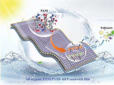 All-Organic Piezo-Photocatalytic Film with Highly Efficient Catalysis, Weak-Force Excitation, and Recyclability