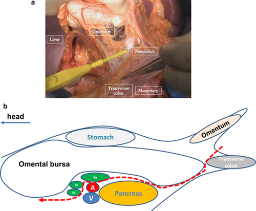 Details are in the caption following the image Details are in the caption following the image