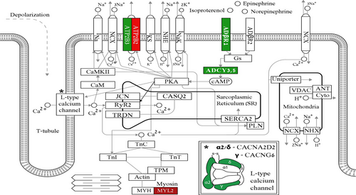 Details are in the caption following the image Details are in the caption following the image