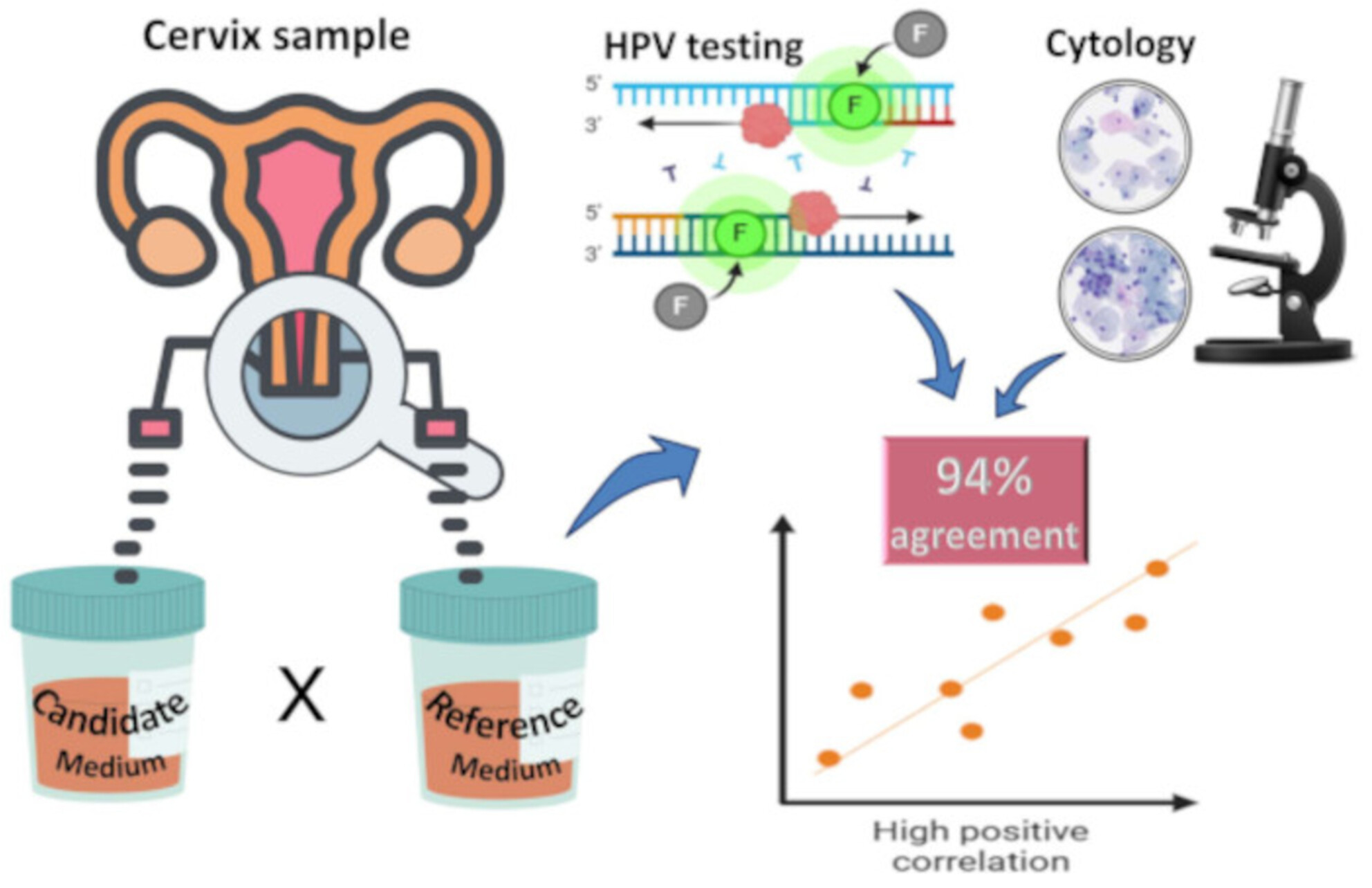 Clinical Performance of a Liquid Preservation Medium for Cervicovaginal Samples in DNA-HPV Testing and Liquid-Based Cytology for Cervical Cancer Screening