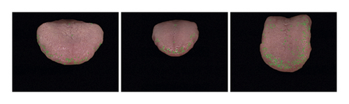 Details are in the caption following the image Details are in the caption following the image