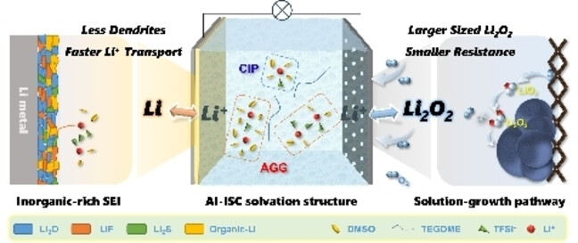 Machine Learning-Guided Modulation of Li+ Solvation Structures towards Optimal Electrolyte Systems for High-Performance Li−O2 Battery