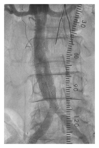Details are in the caption following the image