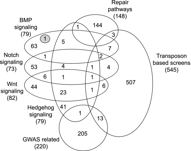 Exome Resequencing Identifies Potential Tumor-Suppressor Genes that Predispose to Colorectal Cancer