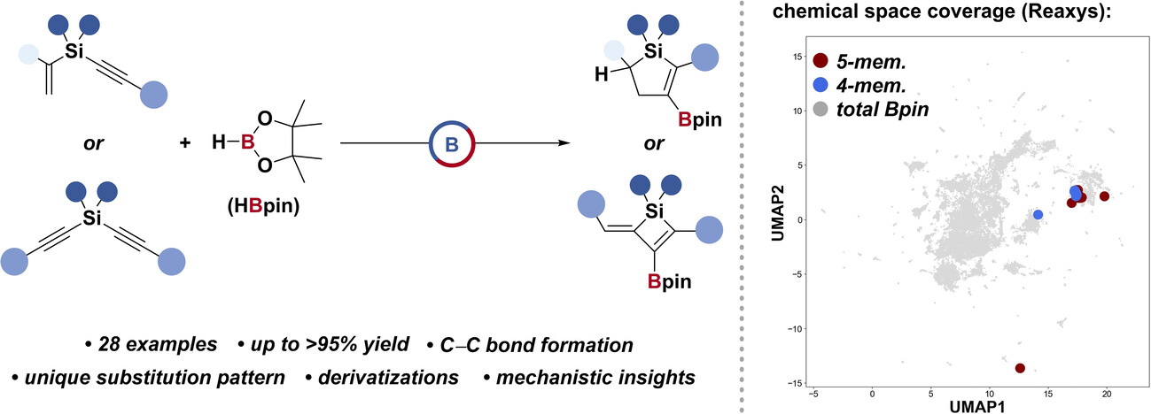 Catalytic Access to Diastereometrically Pure Four- and Five-Membered Silyl-Heterocycles Using Transborylation