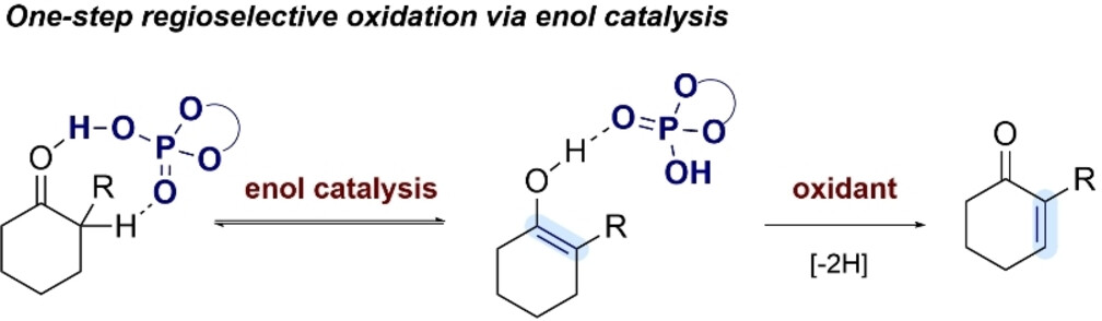Direct Regioselective Dehydrogenation of α-Substituted Cyclic Ketones