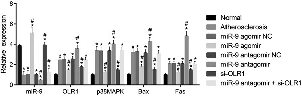 MicroRNA-9 overexpression suppresses vulnerable atherosclerotic plaque and enhances vascular remodeling through negative regulation of the p38MAPK pathway via OLR1 in acute coronary syndrome