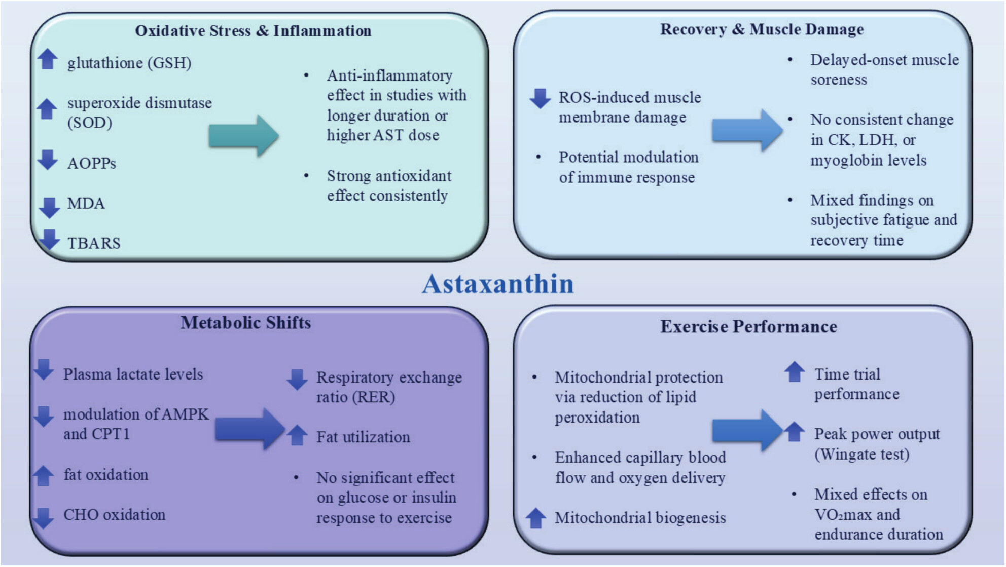 Molecular Mechanisms, Endurance Athlete, and Synergistic Therapeutic Effects of Marine-Derived Antioxidant Astaxanthin Supplementation and Exercise in Cancer, Metabolic Diseases, and Healthy Individuals