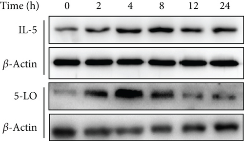 Details are in the caption following the image