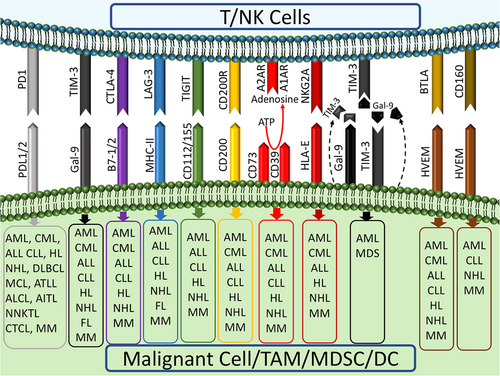 Details are in the caption following the image Details are in the caption following the image