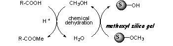 Efficient Methyl Esterification Using Methoxyl Silica Gel as a Novel Dehydrating Reagent