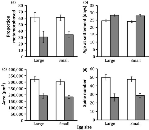 Effects of embryo energy, egg size, and larval food supply on the development of asteroid echinoderms