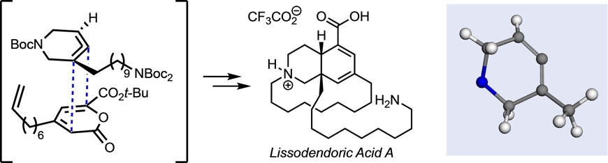 Total Synthesis of Lissodendoric Acid A