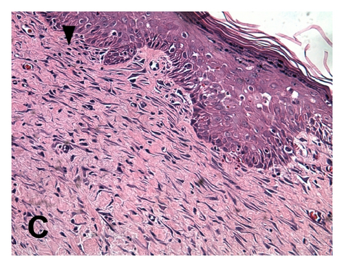 Details are in the caption following the image