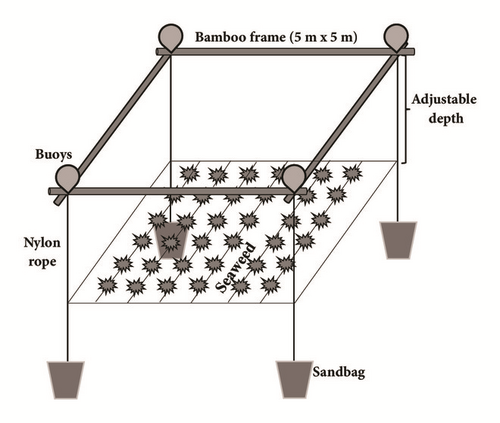 Details are in the caption following the image Details are in the caption following the image
