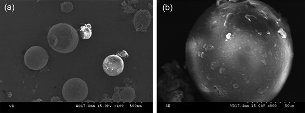 Stromal vascular fraction cells plus sustained release VEGF/Ang-1-PLGA microspheres improve fat graft survival in mice