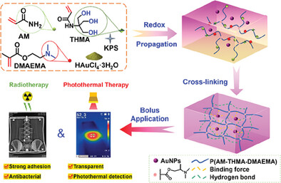 Self-Crosslinking AuNPs Composite Hydrogel Bolus for Radiophotothermal Therapy