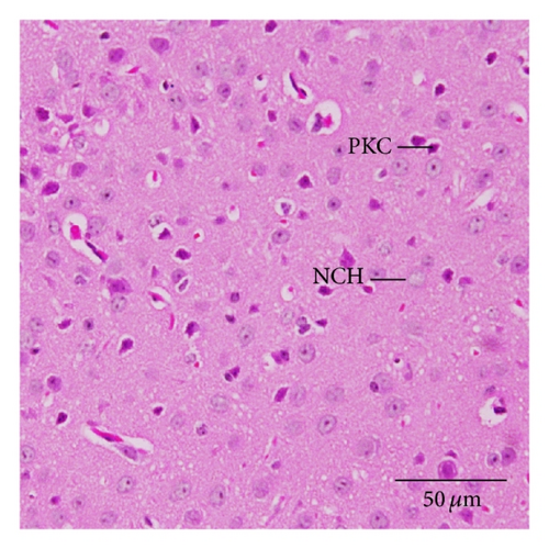 Details are in the caption following the image