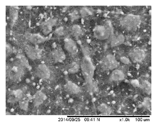 Details are in the caption following the image