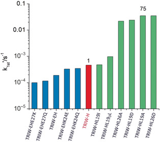 Modifying the Steric Properties in the Second Coordination Sphere of Designed Peptides Leads to Enhancement of Nitrite Reductase Activity