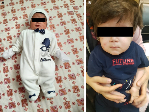 Details are in the caption following the image Details are in the caption following the image