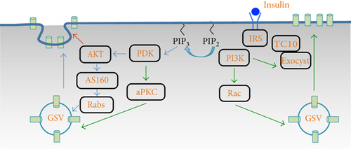 Details are in the caption following the image Details are in the caption following the image