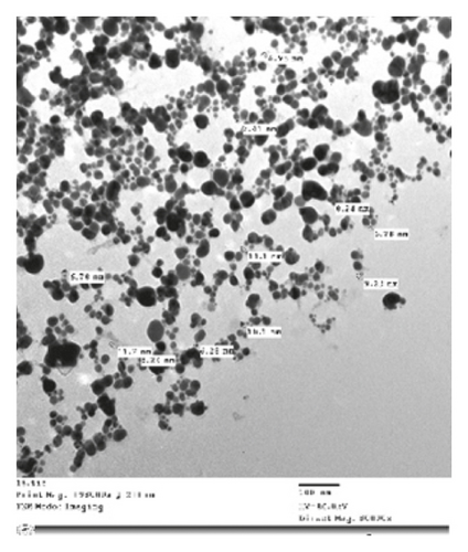 Details are in the caption following the image
