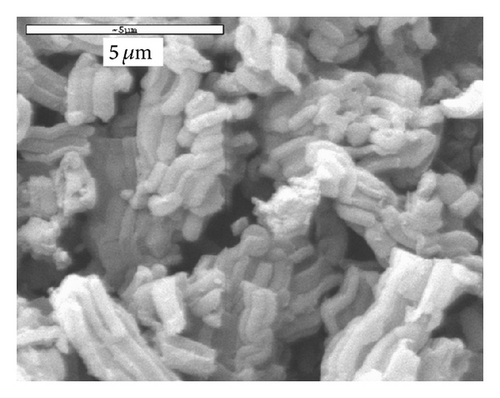 Details are in the caption following the image