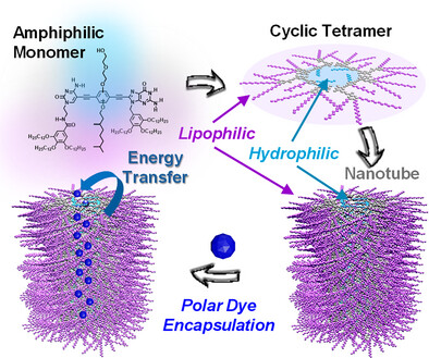 Tailoring Tubular Supramolecular Polymers with Polar Lumens to Host Hydrophilic Dye Molecules
