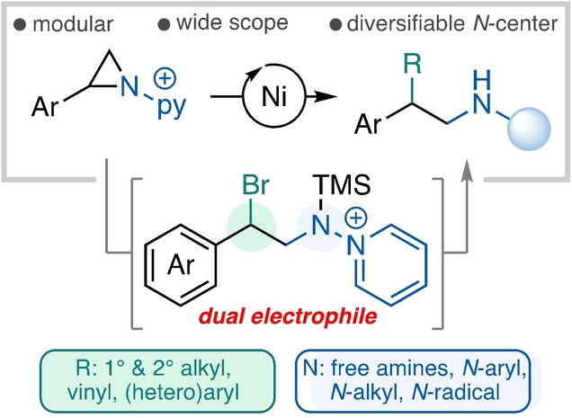 β-Phenethylamine Synthesis: N-Pyridinium Aziridines as Latent Dual Electrophiles