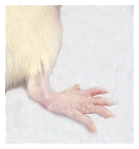 Details are in the caption following the image