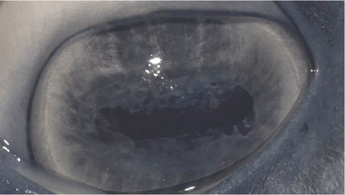 Details are in the caption following the image Details are in the caption following the image