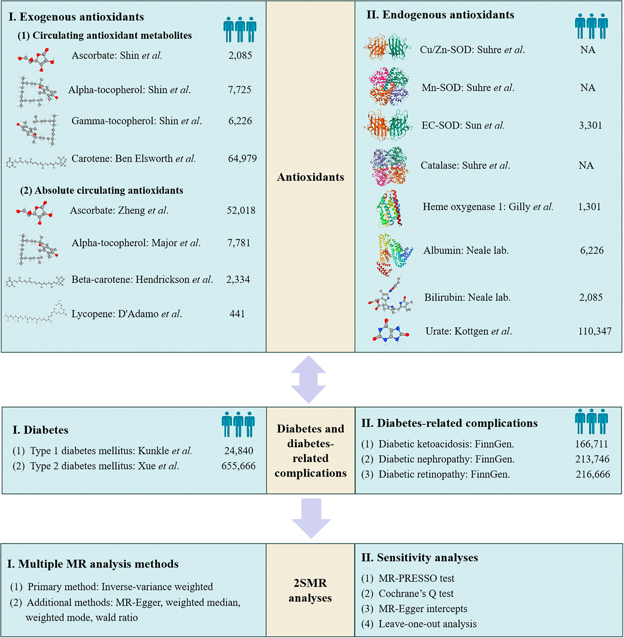 Bidirectional Causal Associations Between Endogenous/Exogenous Antioxidant Levels and Risks of Type 1 and Type 2 Diabetes Mellitus and Three Complications