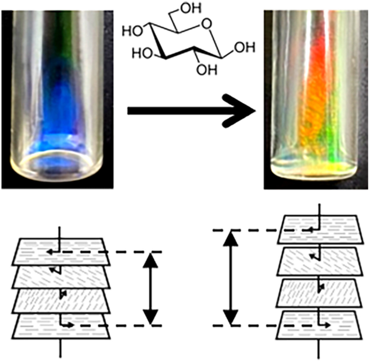 Glucose-sensitive structural color change of cholesteric liquid crystal formed by hydroxypropyl cellulose with phenylboronic acid moieties