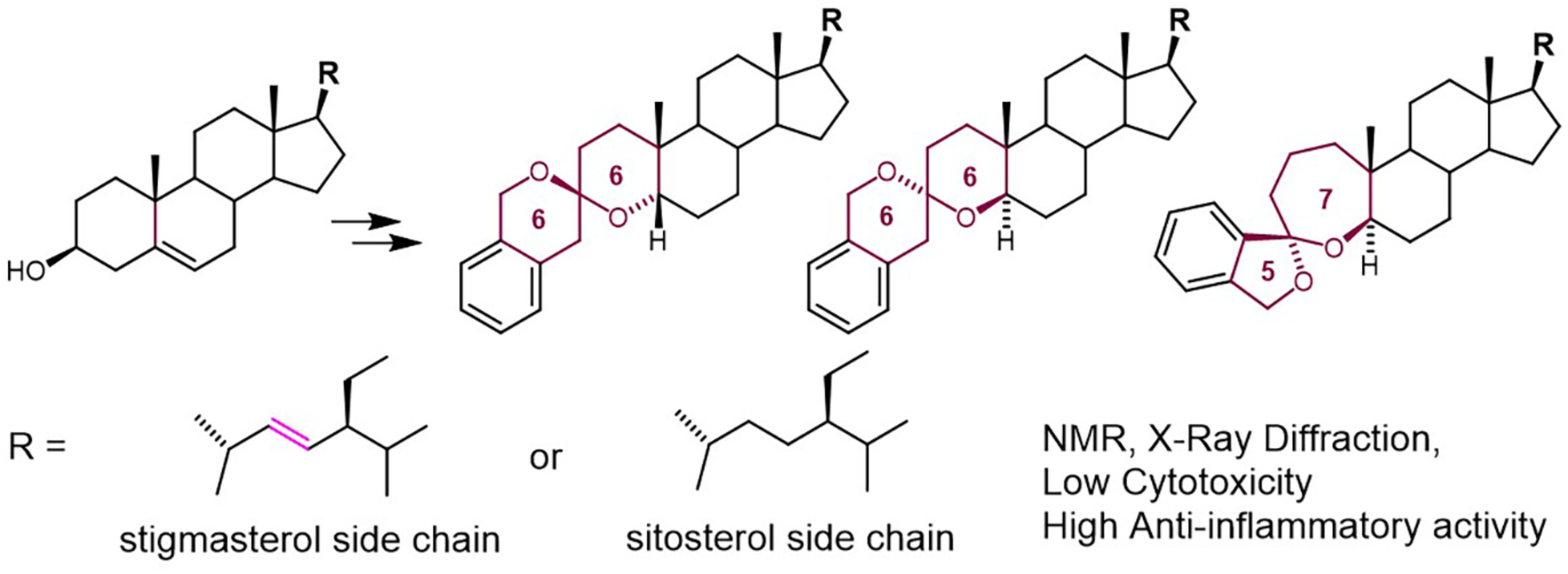 Synthesis of Benzannulated Spiroketals Derived From Stigmasterol and Sitosterol by Pd-Catalyzed Spirocyclization. NMR and X-ray Characterization. Evaluation of Cytotoxicity and Anti-Inflammatory Activity