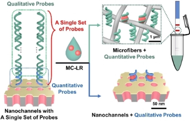 A Single Set of Well-Designed Aptamer Probes for Reliable On-site Qualitative and Ultra-Sensitive Quantitative Detection