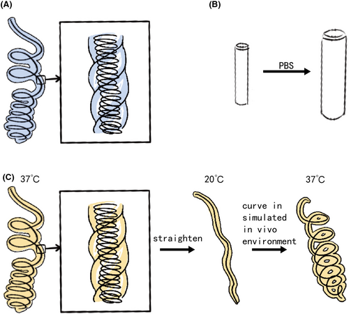 Details are in the caption following the image Details are in the caption following the image