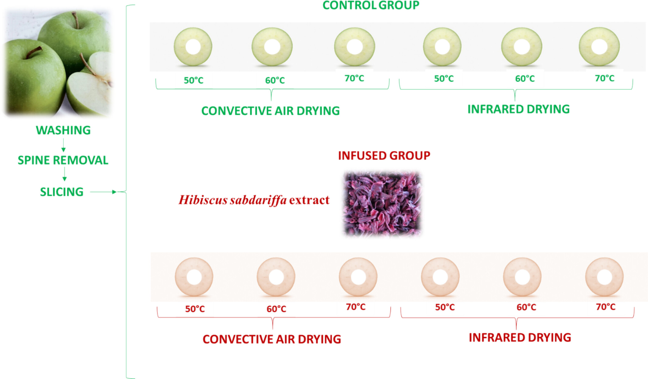 Potentially Functional Apple Snacks Infused in the Hibiscus sabdariffa Extract Obtained by Convective and Infrared Drying: Kinetics of Drying and Phytochemical Analysis