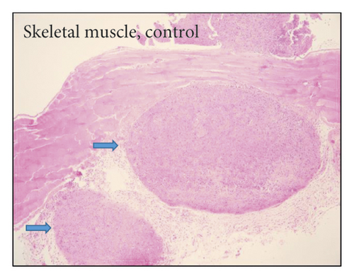 Details are in the caption following the image