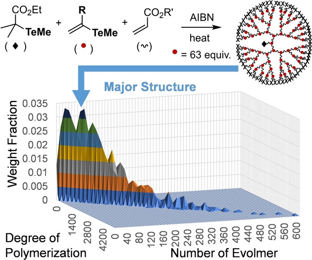 Stochastic Simulation of Controlled Radical Polymerization Forming Dendritic Hyperbranched Polymers